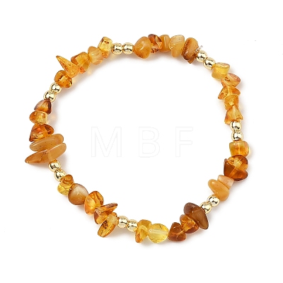 Unisex Natural & Synthetic Amber Bracelets BJEW-JB13932-1