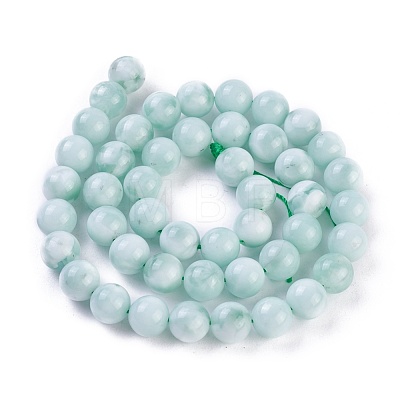 Natural Glass Beads Strands G-I247-15B-1