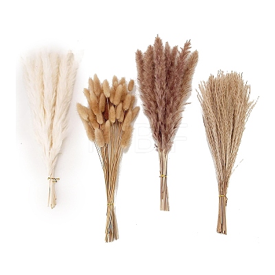 Mini Dried Pampas Grass HULI-PW0002-112B-1