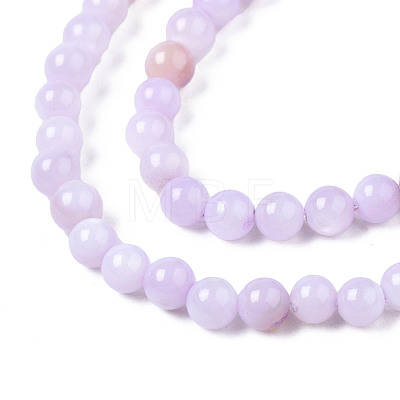 Natural Freshwater Shell Beads Strands BSHE-T009A-01G-1