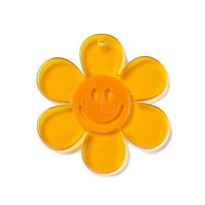 Transparent Acrylic Big Pendants LS-OACR-P012-A01-1