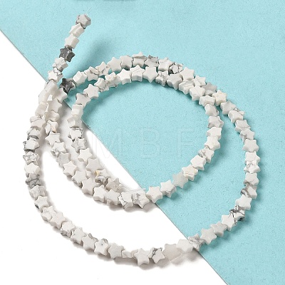 Synthetic Howlite Beads Strands G-G085-B33-01-1