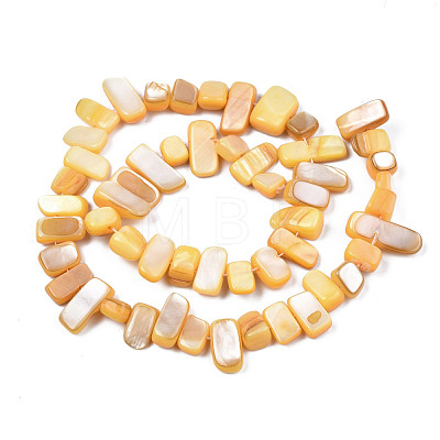 Natural Trochid Shell/Trochus Shell Beads Strands SHEL-S258-082-B11-1