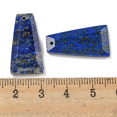 Dyed Natural Lapis Lazuli Pendants G-G123-02E-1