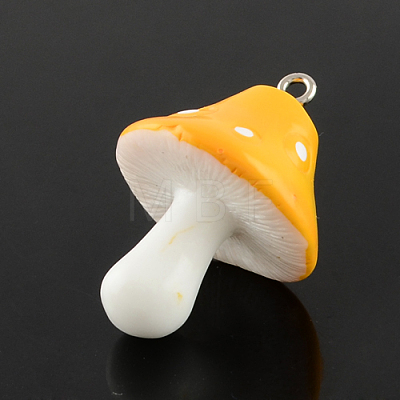 Resin Pendants LS-RESI-S295-04-1