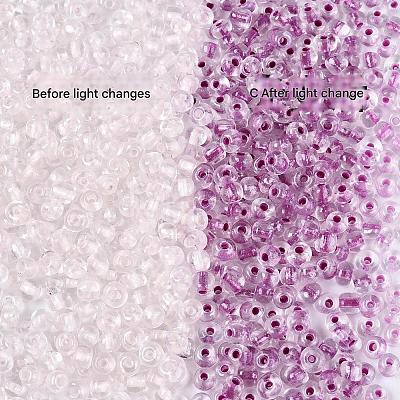 Glass Seed Beads SEED-T007-10D-1