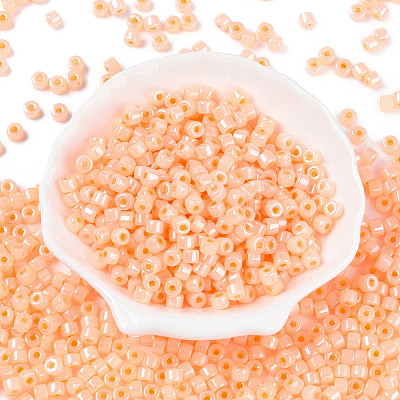 Glass Seed Beads SEED-T008-01C-1