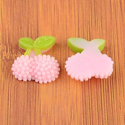 Resin Cabochons CRES-B3049-A118-1