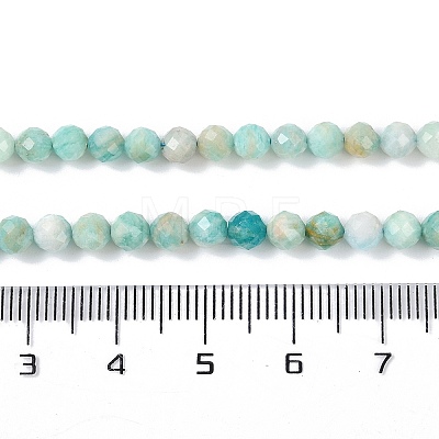 Natural Amazonite Beads Strands X-G-G139-A15-03-1