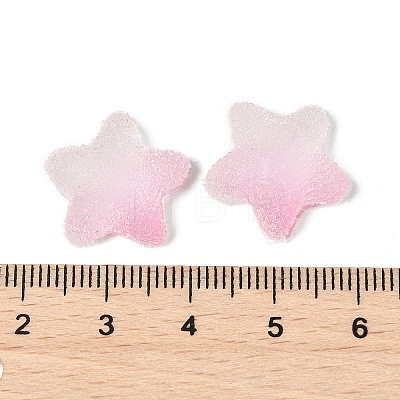 Imitation Candy Food Style Resin Cabochons RESI-R461-02K-1