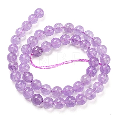 Natural Amethyst Beads Strands G-P503-8MM-08-1