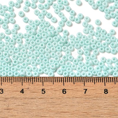 Baking Paint Glass Seed Beads SEED-P006-03A-29-1