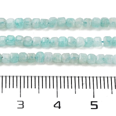 Natural Amazonite Beads Strands G-H042-B16-01-1