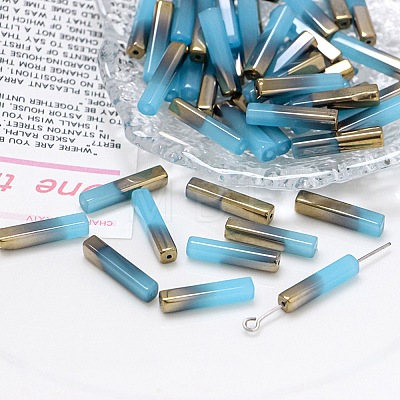 Electroplate Glass Beads GLAA-D024-02E-1