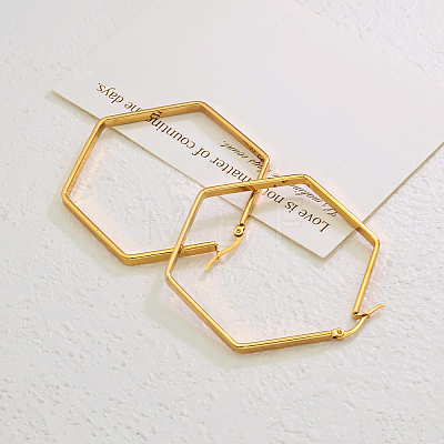 Stainless Steel Hexagon Hoop Earrings EQ3047-8-1