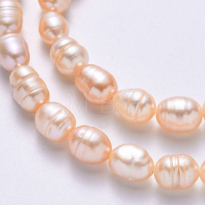 Natural Cultured Freshwater Pearl Beads Strands PEAR-N012-07G-1