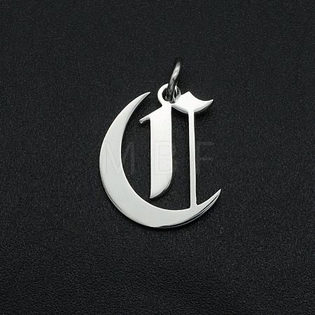 Non-Tarnish 304 Stainless Steel Pendants STAS-R111-JA565-C-1