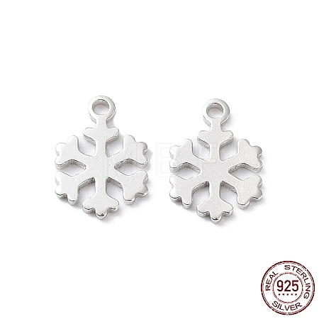 Rhodium Plated 925 Sterling Silver Charms STER-C003-18P-1