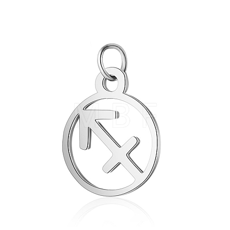 Non-Tarnish 304 Stainless Steel Charms STAS-T036-T513-A9-1