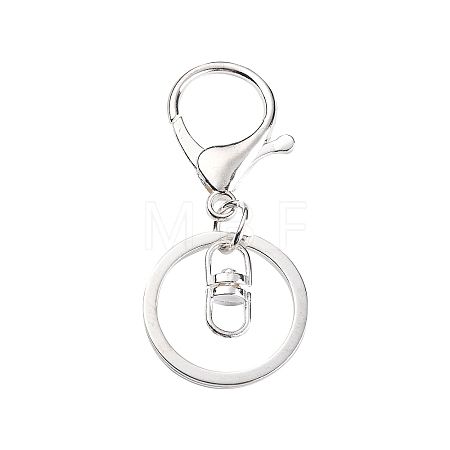 Iron Alloy Lobster Claw Clasp Keychain LS-KEYC-D016-S-1