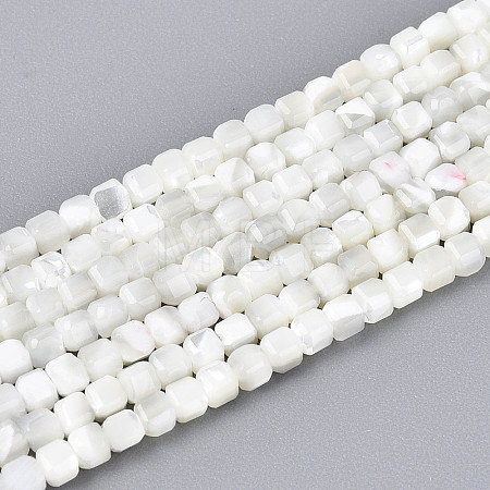 Natural Trochid Shell/Trochus Shell Beads Strands SSHEL-N041-04A-01-1