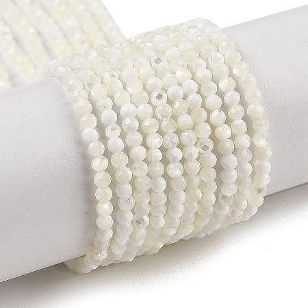 Natural Trochus Shell Beads Strands BSHE-G036-08A-01-1