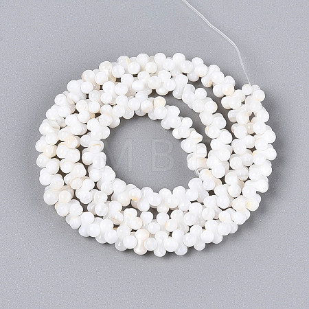 Natural Freshwater Shell Beads Strands SHEL-N038-29B-1