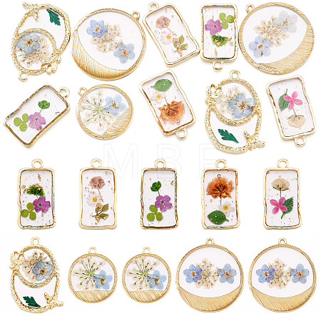 10Pcs 2 Styles Transparent Resin Pendants RESI-TA0005-61-1