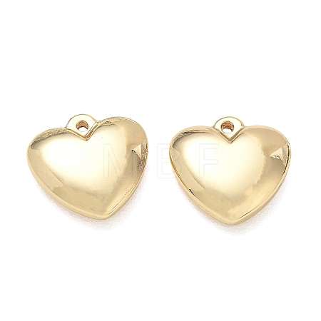 304 Stainless Steel Pendants SA-CBA3037-20G-09-1
