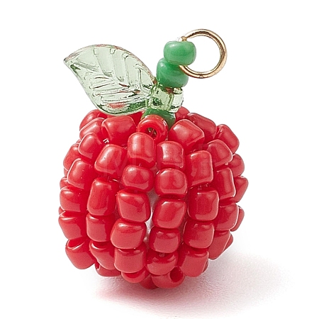 Seed Beads Beaded Pendants PALLOY-TA00159-02-1