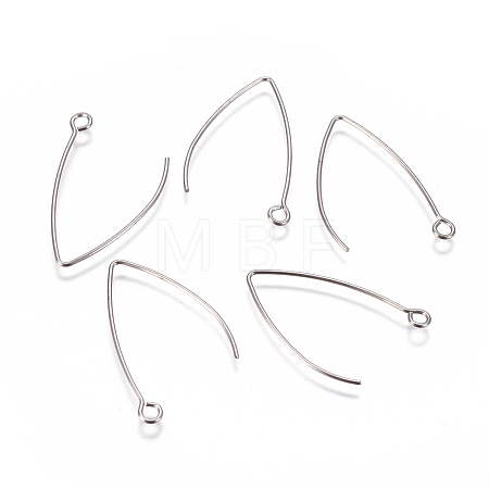Tarnish Resistant 304 Stainless Steel Earring Hooks STAS-F227-26A-P-1