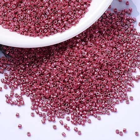 MIYUKI Delica Beads X-SEED-J020-DB1841-1