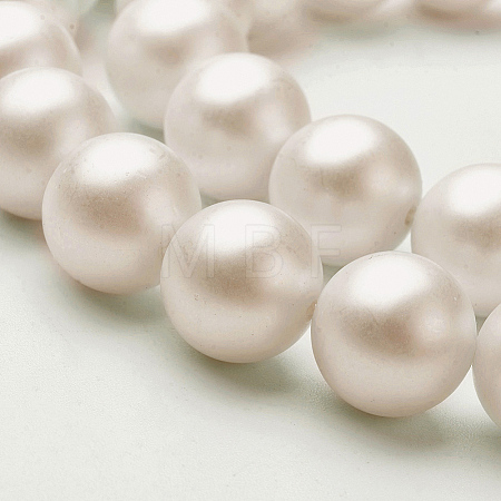 Shell Imitated Pearl Bead Strands BSHE-F0014-10mm-10-1