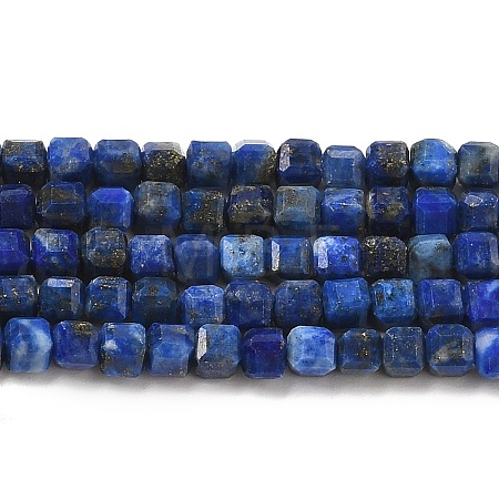 Natural Lapis Lazuli Beads Strands G-E608-B12-1