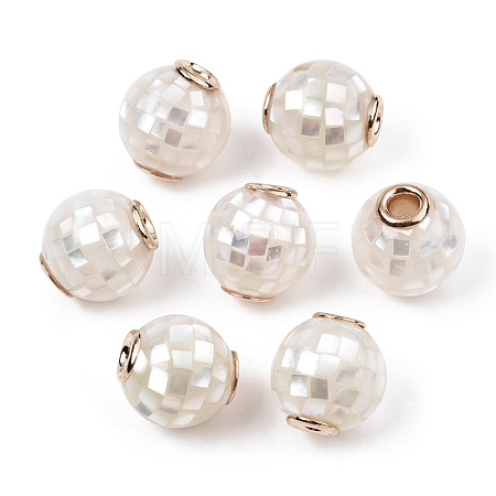 Natural White Shell Beads SSHEL-N034-131J-1