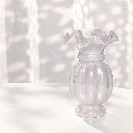 Ceramics Dried Flowers Vase Display Decorations BOTT-PW0011-14A-03-1