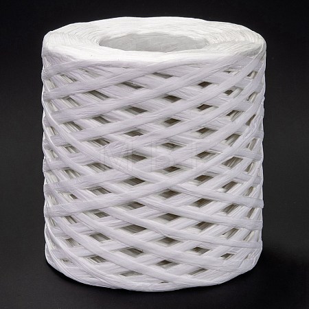 Raffia Ribbon OCOR-I012-A24-1