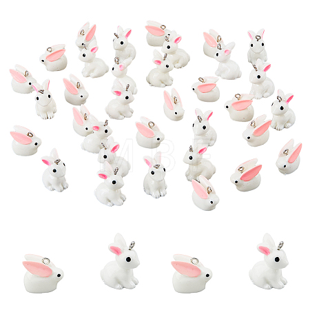 40Pcs 2 Styles Opaque Resin Pendants RESI-DC0001-31-1