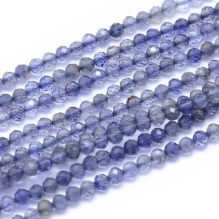 Natural Iolite Beads Strands G-I279-E08-1
