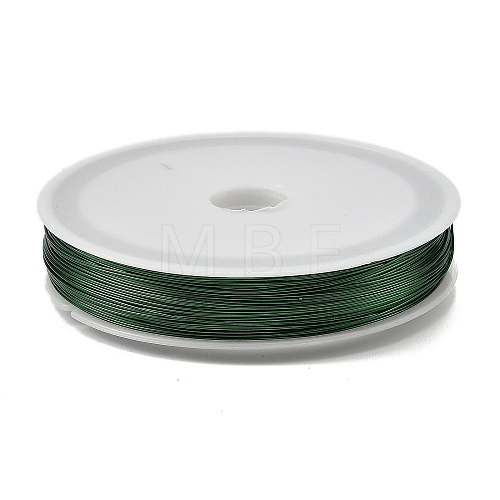 Baking Painted Iron Wire MW-NH0001-01E-1