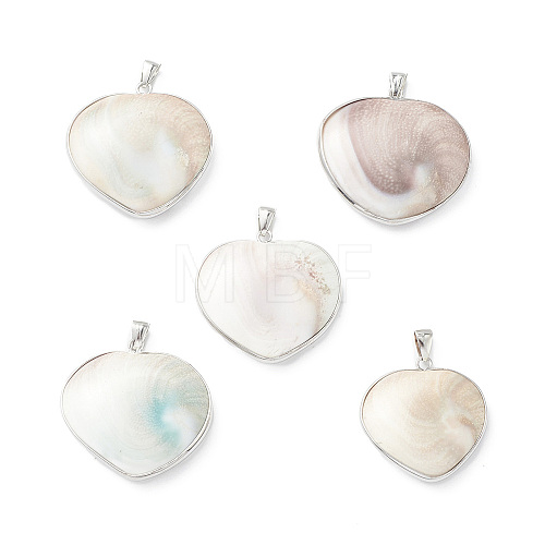 Natural Sea Shell Pendants SHEL-F005-02P-1