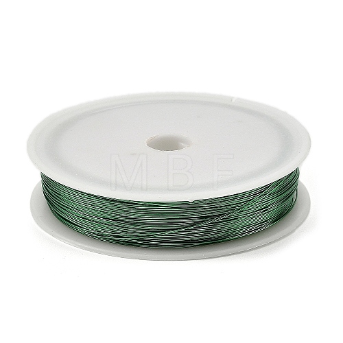 Baking Painted Iron Wire MW-NH0001-03A-1