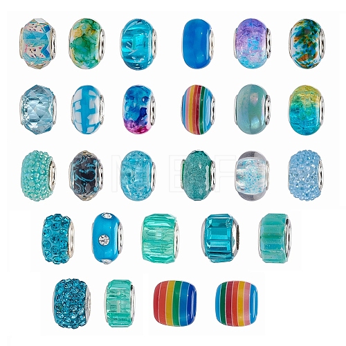 Acrylic & Resin & Polymer Clay Rhinestone European Beads FPDL-S015-04B-1