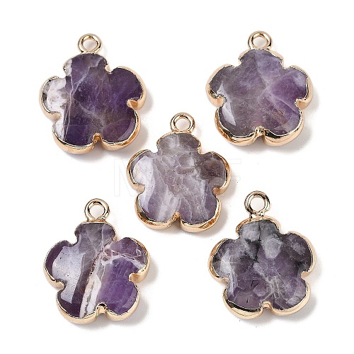 Natural Amethyst Pendants G-P566-01G-04-1