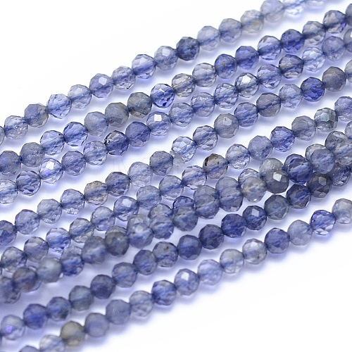 Natural Iolite Beads Strands G-I279-E08-1
