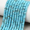 Natural Magnesite Beads Strands G-Z143-F01-01B-1