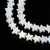 Natural Freshwater Shell Beads Strands LS-SHEL-S278-01A-01-3