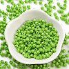 Baking Paint Glass Seed Beads X1-SEED-A032-02A-2