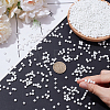 200G Glass Seed Beads SEED-SP0001-14B-01-3