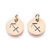 304 Stainless Steel Charms STAS-Q201-T445-9R-1